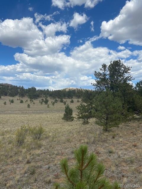 317 Jefferson Road Hartsel, CO 80449 - Photo 5 of 6 Gallery Image 5
