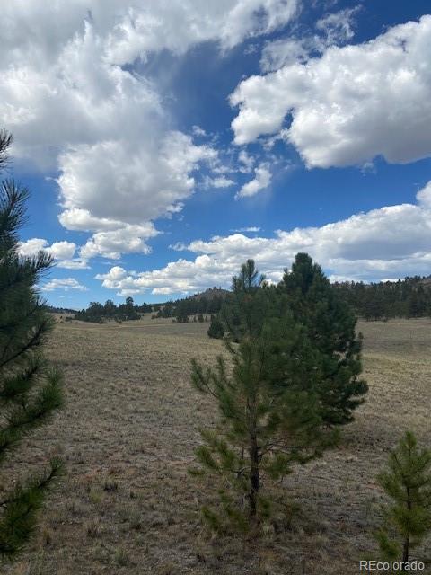 317 Jefferson Road Hartsel, CO 80449 - Photo 6 of 6 Gallery Image 6