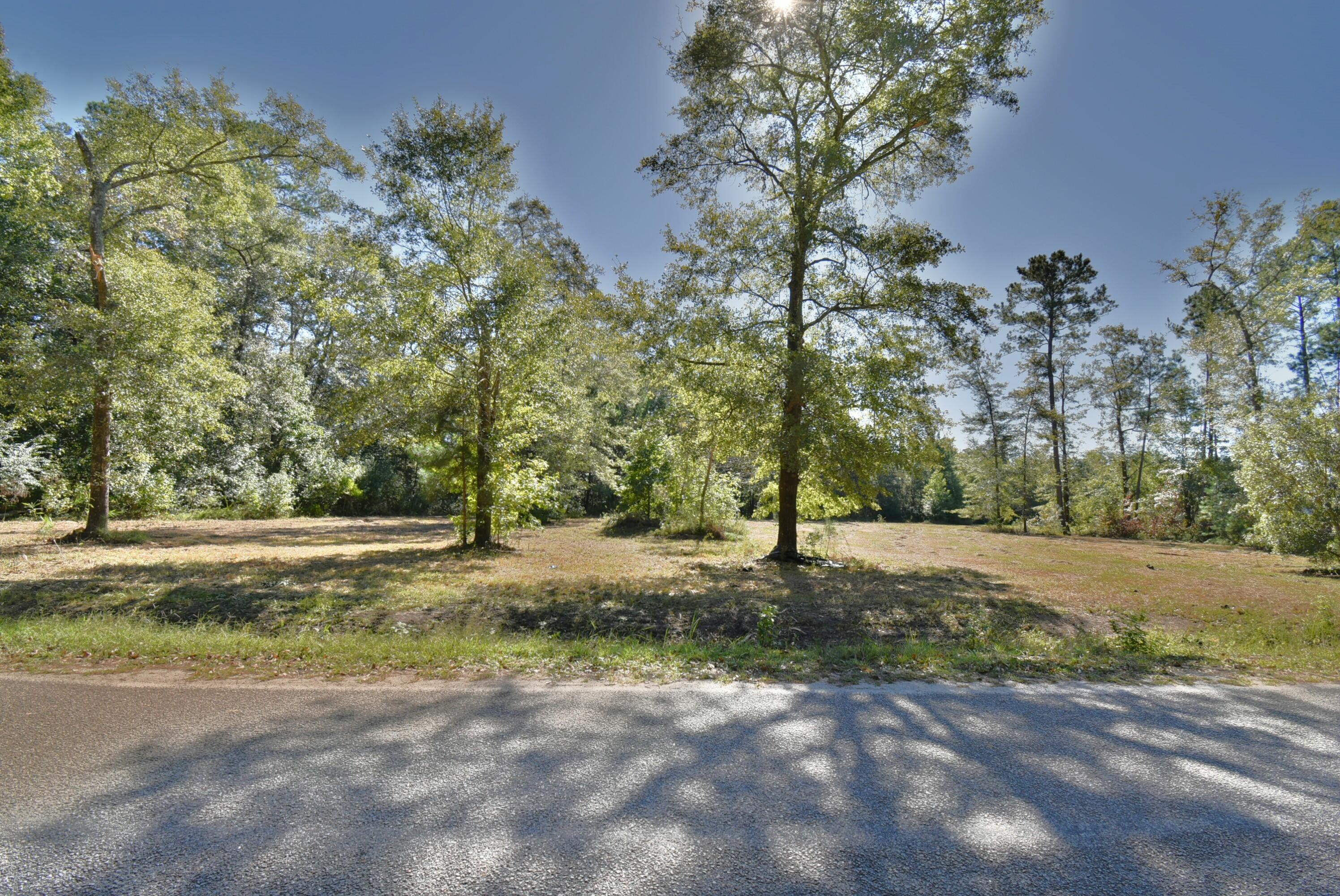 215 Frog Hollow Road Varnville, SC 29944 - Photo 4 of 13 2024-10-11 11.29.08