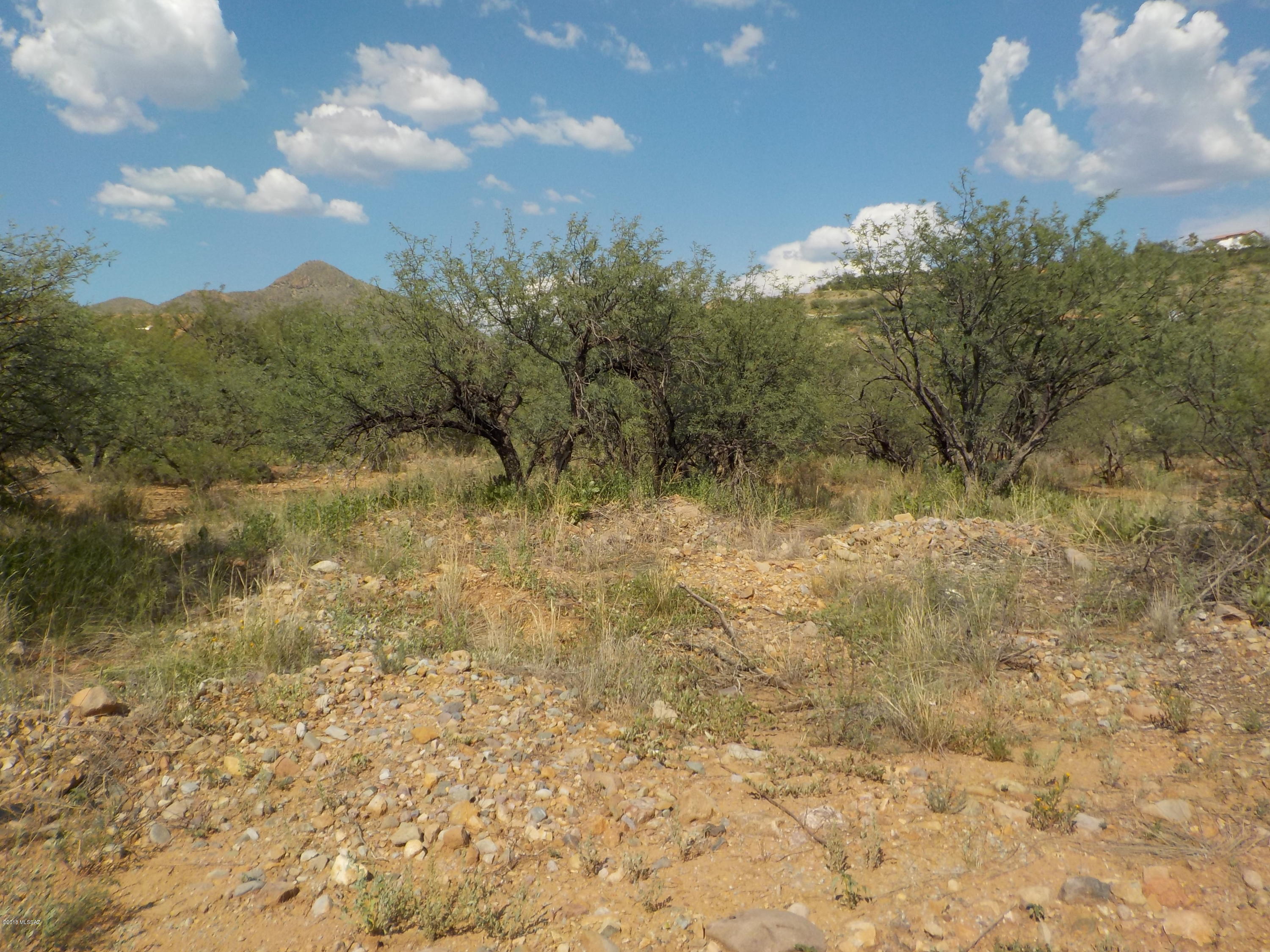 1285 Oficio Court, Unit 49 Rio Rico, AZ 85648 - Photo 2 of 3