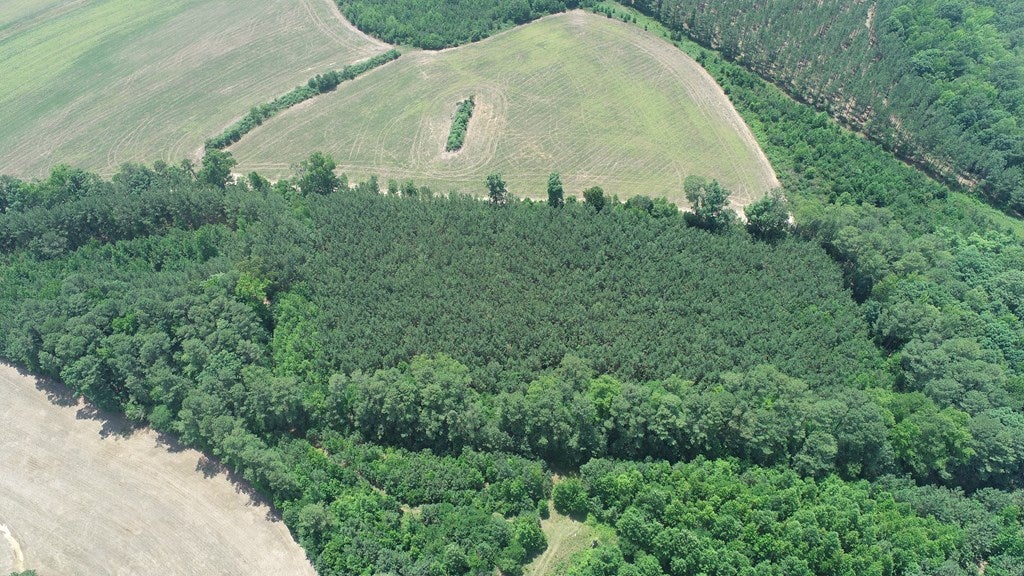 Reedy Branch Road Kenbridge, VA 23944 - Photo 9 of 19 Gallery Image 9