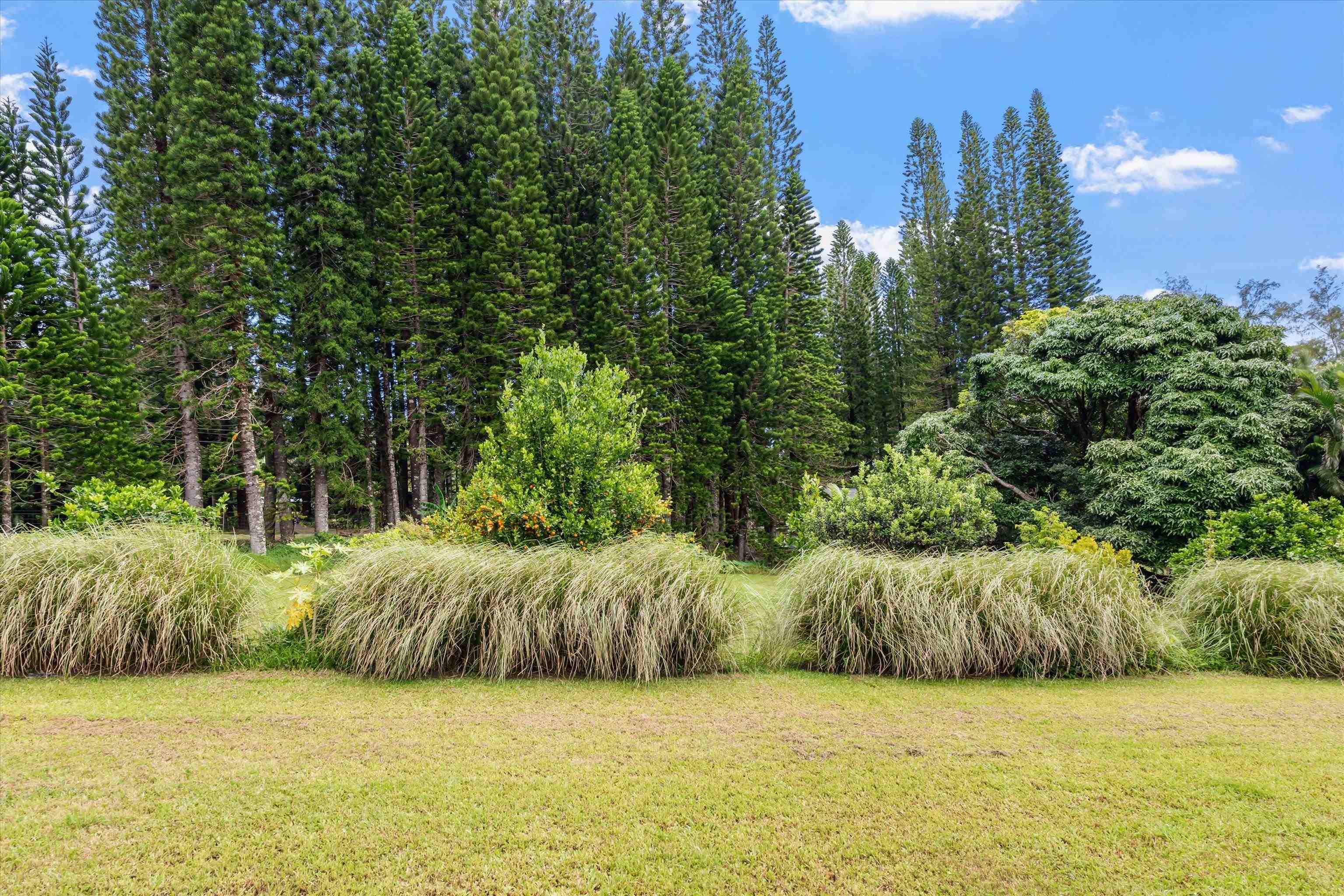 169 Waipalani Road Haiku, HI 96708 - Photo 47 of 50