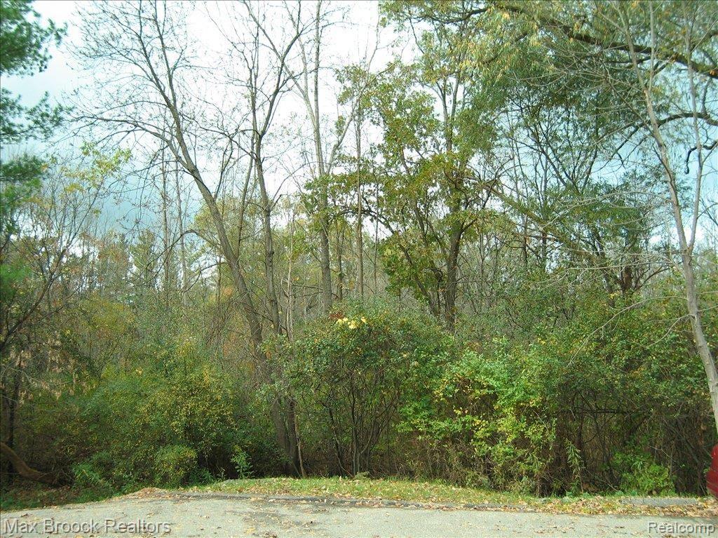 1533 Surrey Lane, Unit 8 Rochester, MI 48306 - Photo 3 of 12 Wooded Setting
