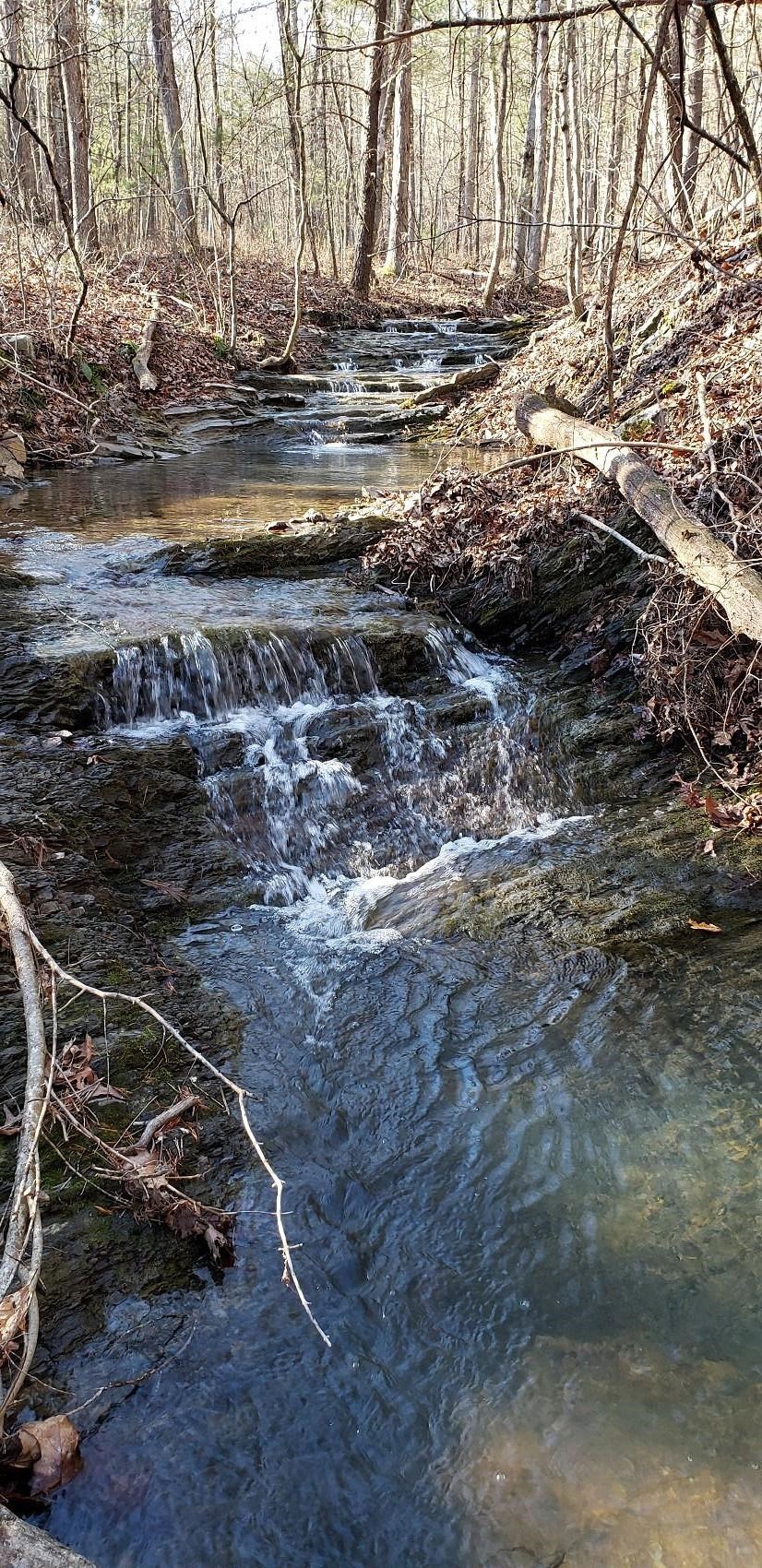 10375 Genoa Road Fulks Run, VA 22830 - Photo 75 of 75 Gallery Image 75