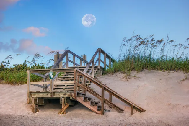 a view of empty room with wooden floor and lake view