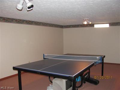 6012 Ravine Boulevard Parma, OH 44134 - Photo 19 of 24 Gallery Image 19