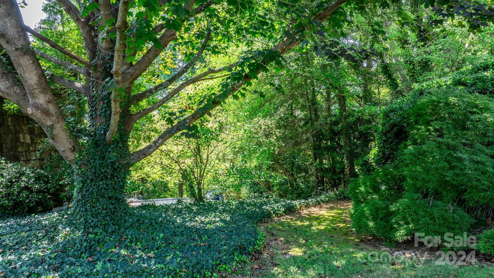 50 Skyline Road Hickory, NC 28601 - Photo 38 of 43 Gallery Image 38