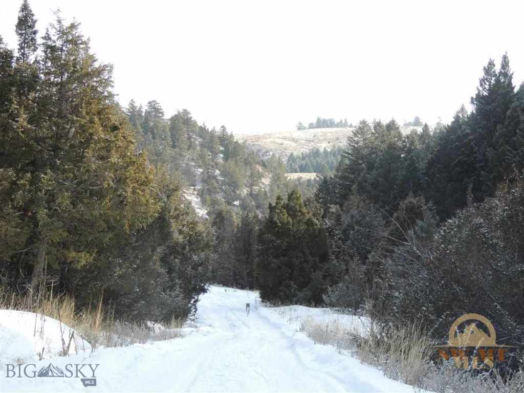 Round Pole Road Three Forks, MT 59752 - Photo 1 of 1 Gallery Image 1