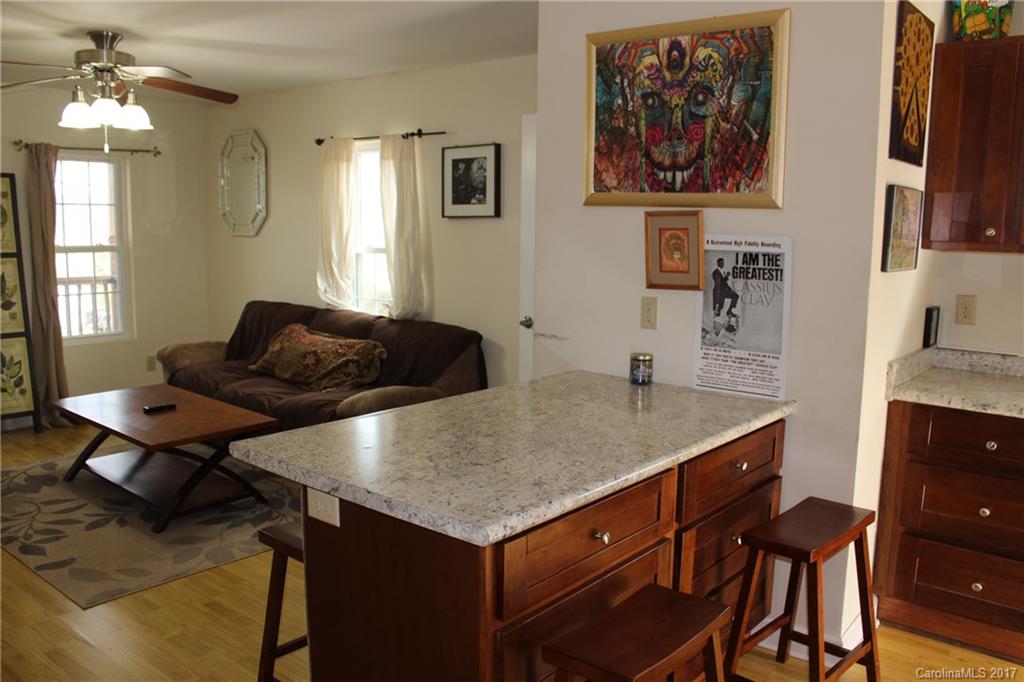 356 Deaverview Road Asheville, NC 28806 - Photo 6 of 22 Gallery Image 6