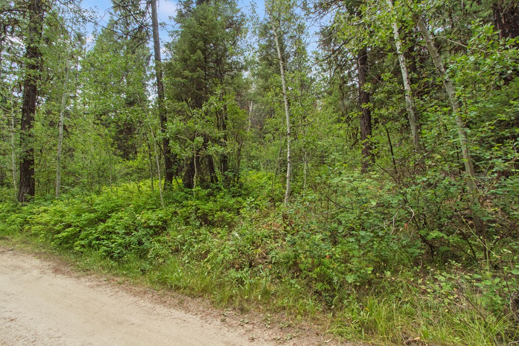 517 Susan Road, Unit 41 Cascade, ID 83611 - Photo 4 of 9 Bring Your Dream