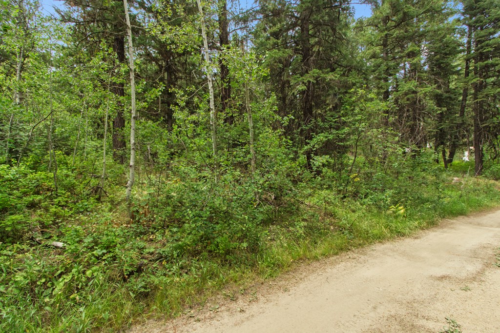 517 Susan Road, Unit 41 Cascade, ID 83611 - Photo 5 of 9 Adjoining Lot For Sale Also