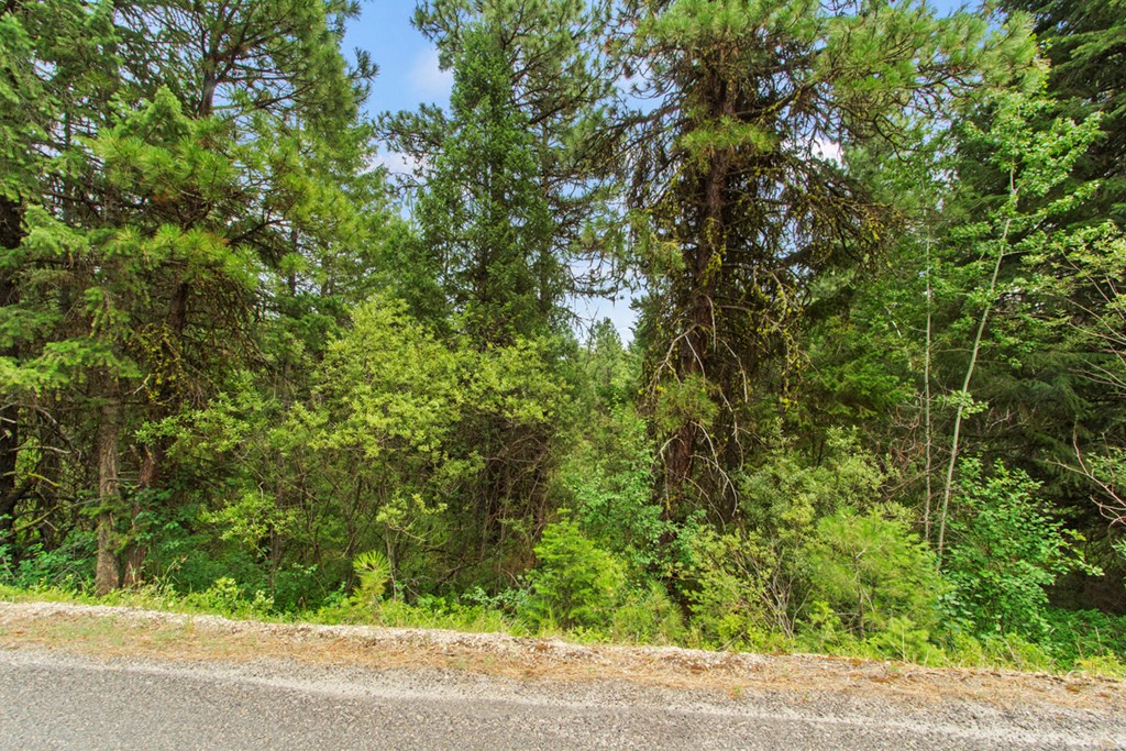 517 Susan Road, Unit 41 Cascade, ID 83611 - Photo 6 of 9 Looking At Lot From West Mountain Road