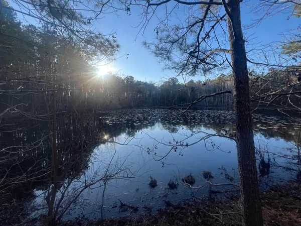 $379,900 | 22701 Highway 129, Cobbtown, GA 30420