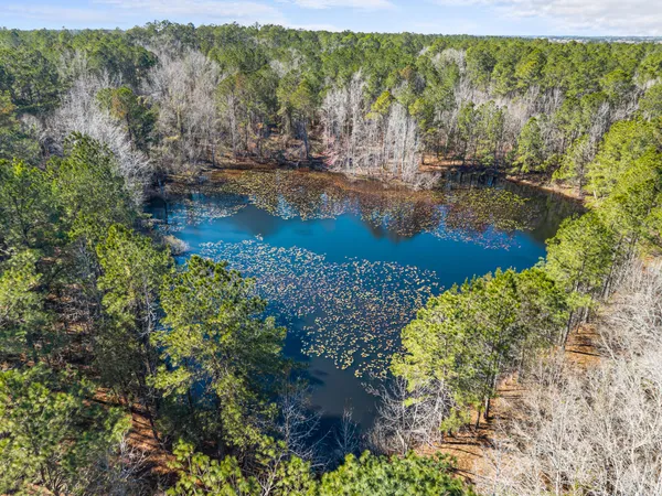 $379,900 | 22701 Highway 129, Cobbtown, GA 30420