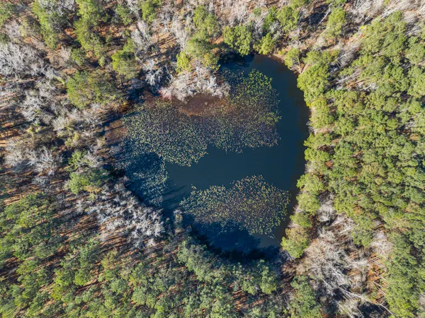 $379,900 | 22701 Highway 129, Cobbtown, GA 30420