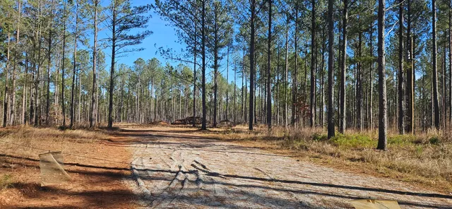 $65,000 | 1 Smith Chapel Road, Lincolnton, GA 30817