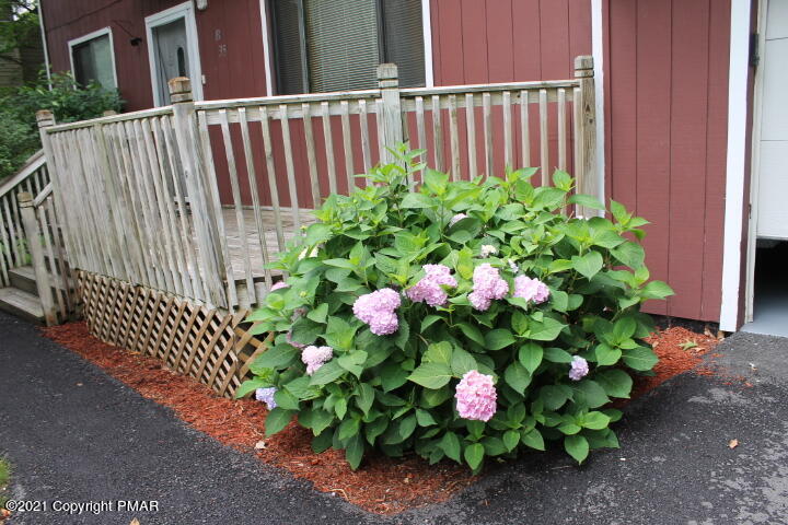 709 Edgewood Road Tobyhanna, PA 18466 - Photo 2 of 55 a flower plants with wooden fence