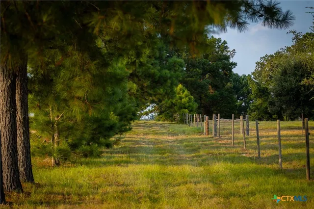 a view of outdoor space with trees
