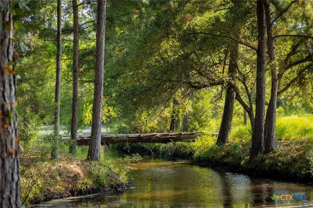 a view of river covered by trees