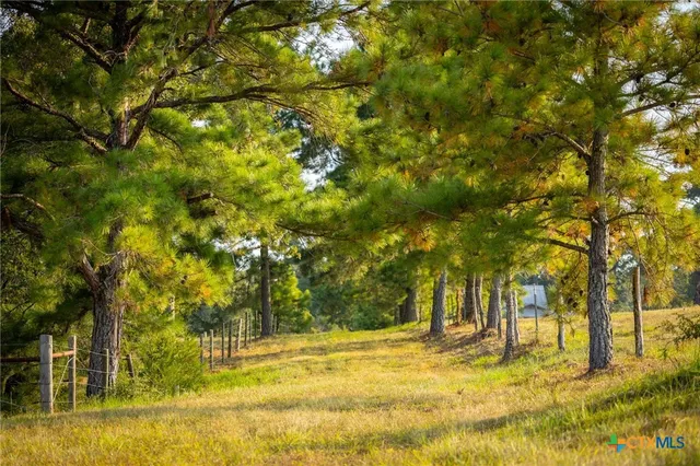 a view of yard with trees