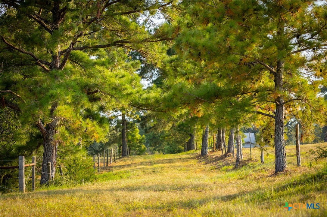 1031 Angel Lake Estates Road Alleyton, TX 78935 - Photo 5 of 47 a view of yard with trees