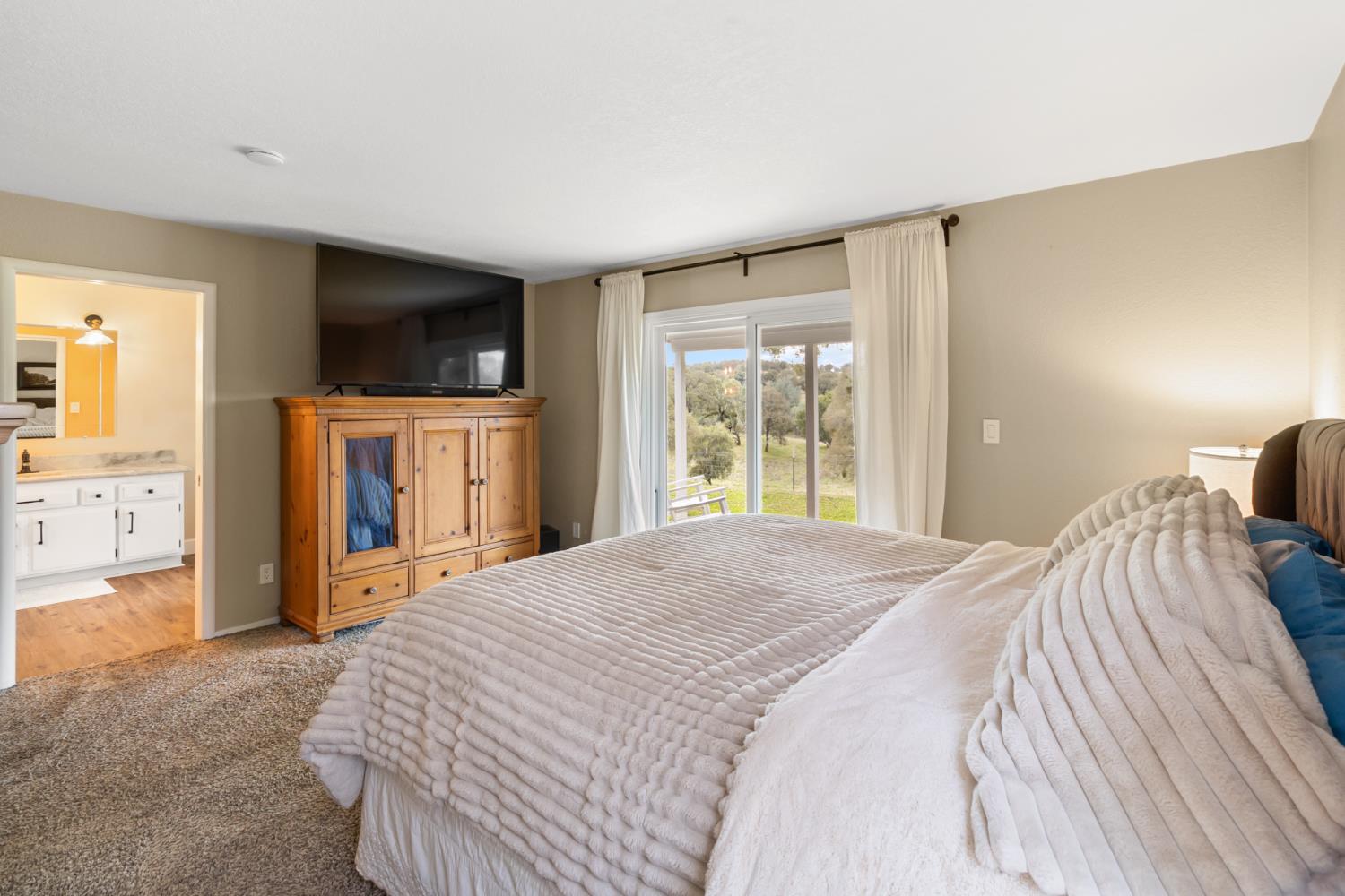 22800 Latrobe Road Plymouth, CA 95669 - Photo 29 of 81 a bedroom with a bed and a television