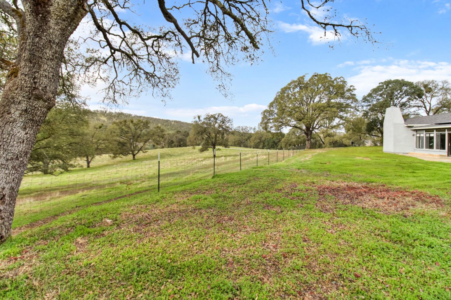22800 Latrobe Road Plymouth, CA 95669 - Photo 43 of 81 a view of grassy field with trees