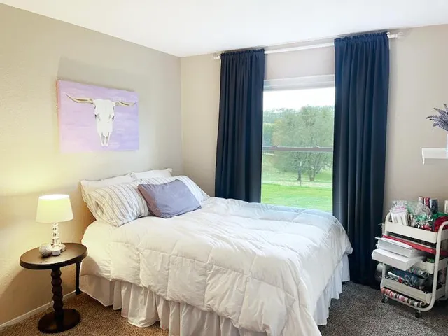 an aerial view of forest