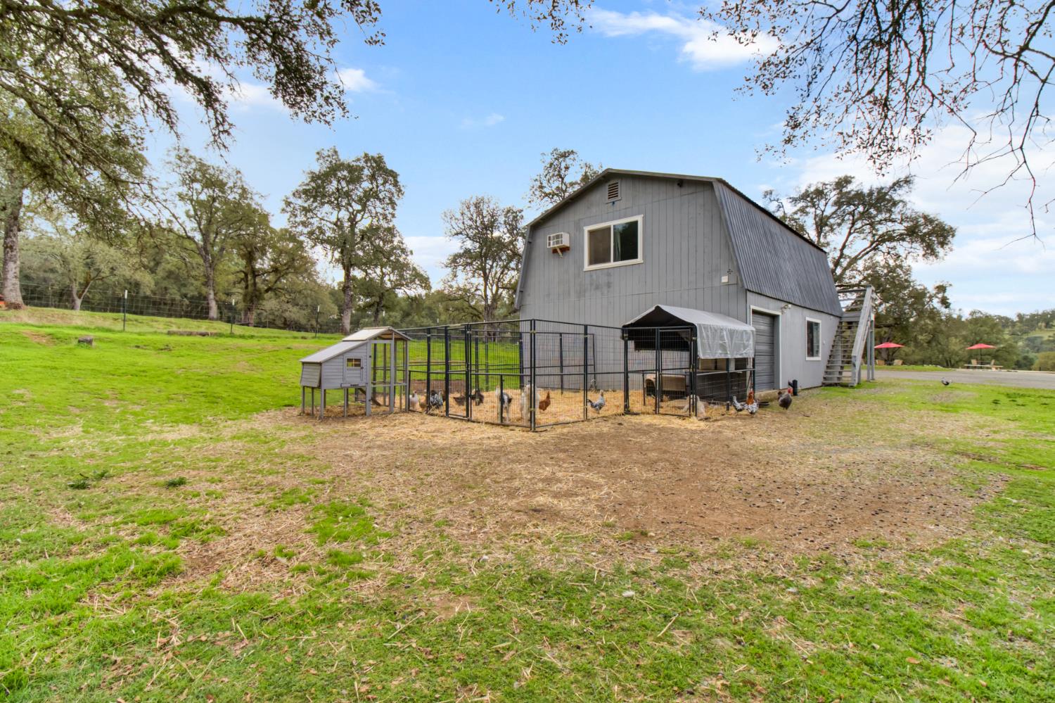 22800 Latrobe Road Plymouth, CA 95669 - Photo 57 of 81 a view of a house with backyard and trees