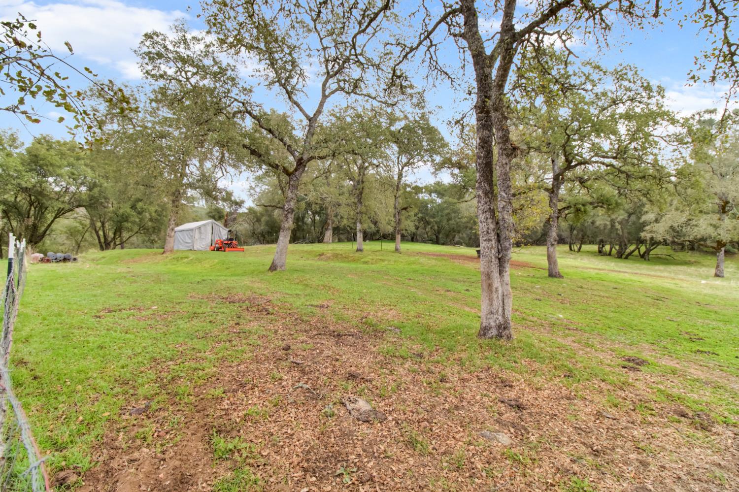 22800 Latrobe Road Plymouth, CA 95669 - Photo 59 of 81 a view of a trees in a park