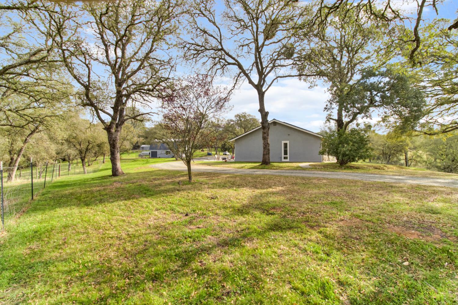 22800 Latrobe Road Plymouth, CA 95669 - Photo 60 of 81 a house with huge trees in front of it