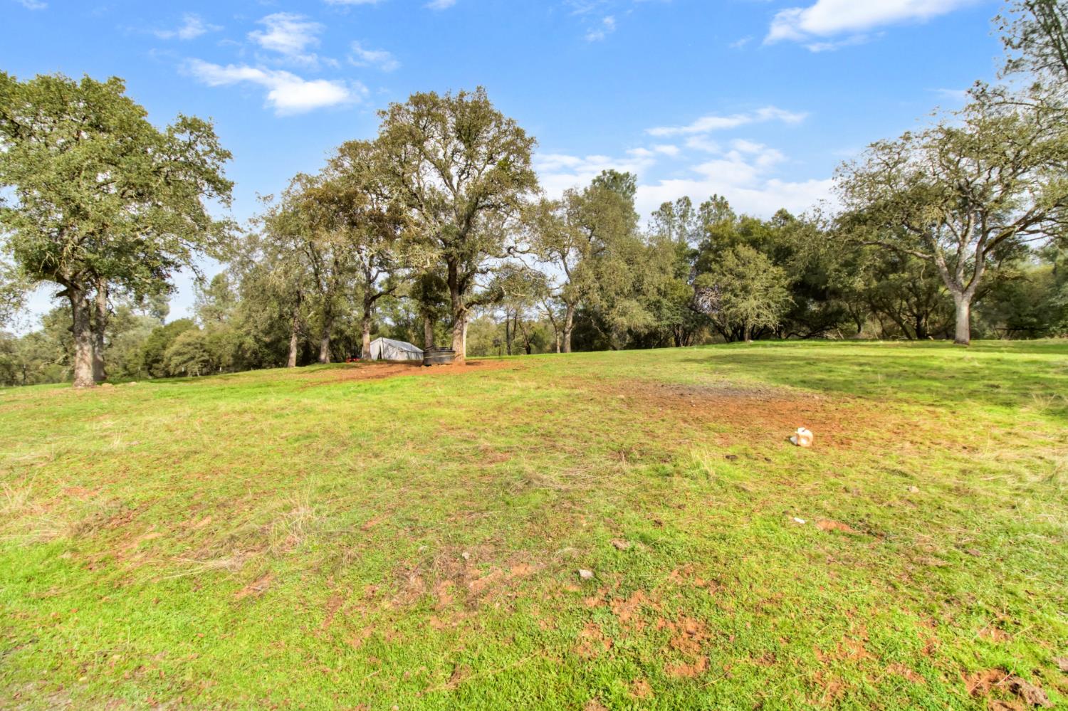 22800 Latrobe Road Plymouth, CA 95669 - Photo 62 of 81