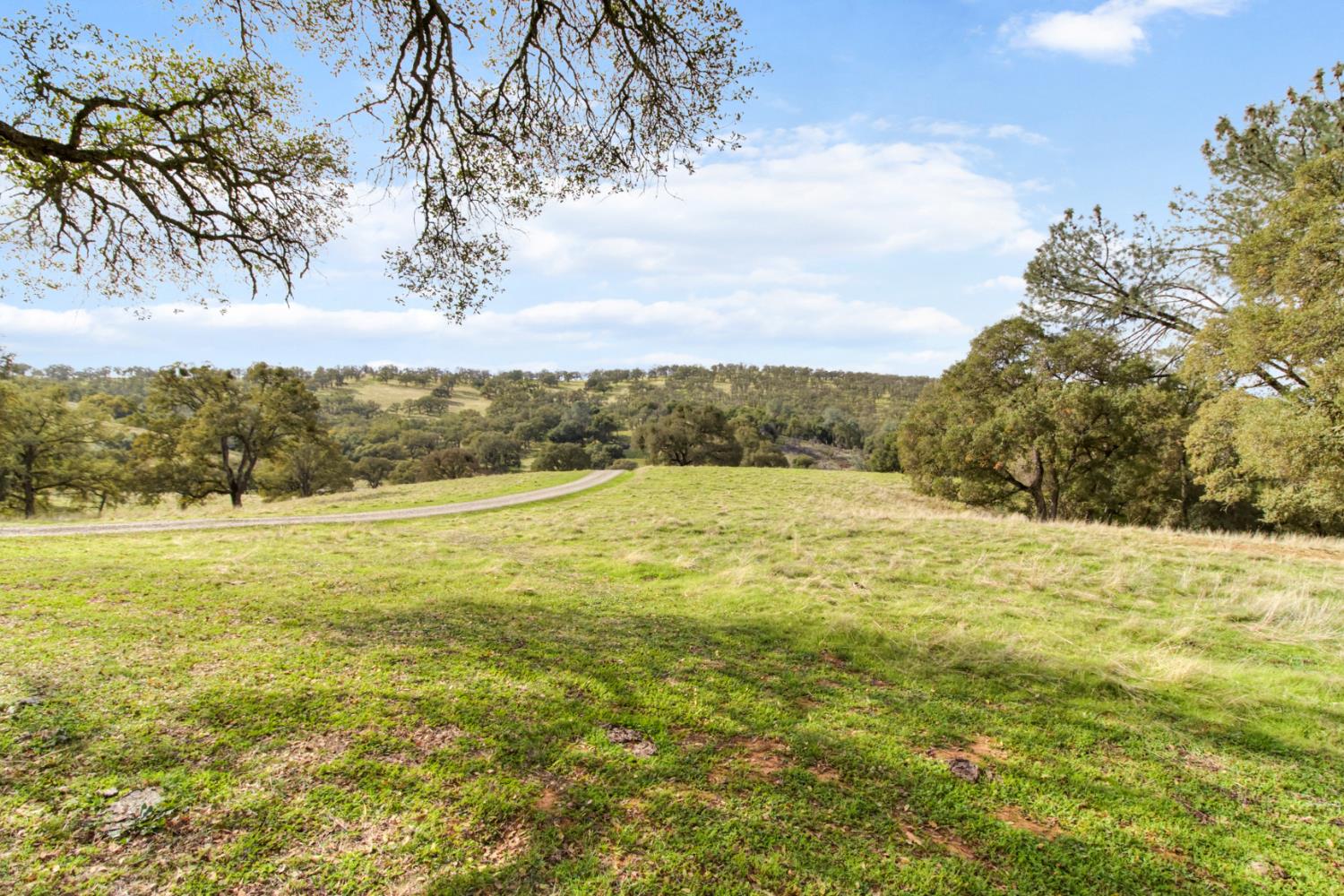 22800 Latrobe Road Plymouth, CA 95669 - Photo 63 of 81