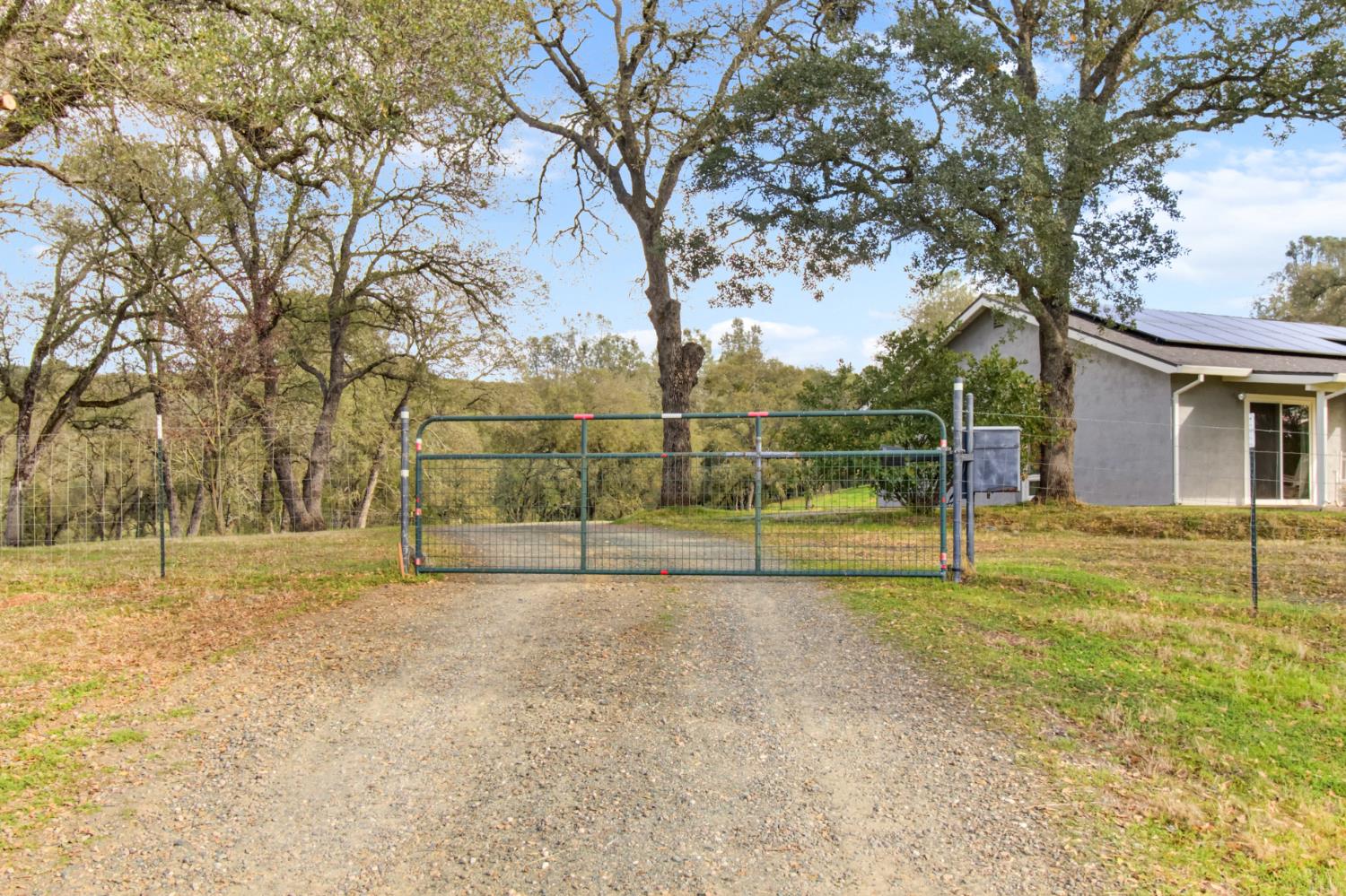 22800 Latrobe Road Plymouth, CA 95669 - Photo 64 of 81 a view of a yard with a house and large trees