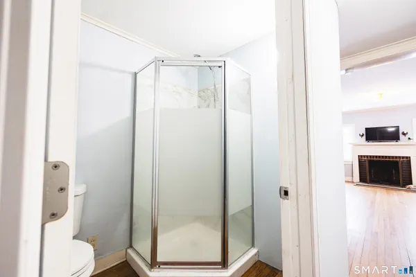 a bathroom with a shower and toilet