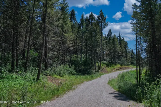 $599,000 | 3550 Sorensen Creek Drive, Victor, ID 83455