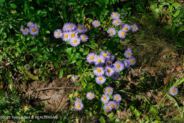 $599,000 | 3550 Sorensen Creek Drive, Victor, ID 83455