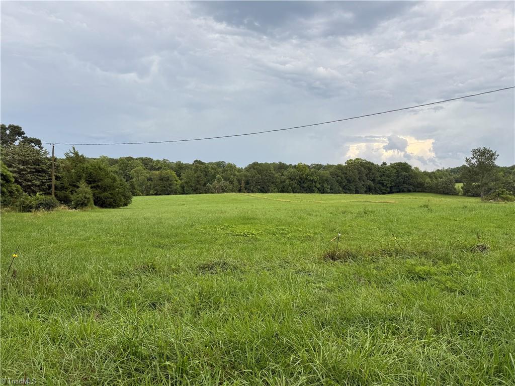 0 Hope Beasley Road Sandy Ridge, NC 27046 - Photo 4 of 9