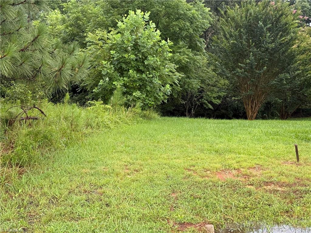 0 Hope Beasley Road Sandy Ridge, NC 27046 - Photo 6 of 9