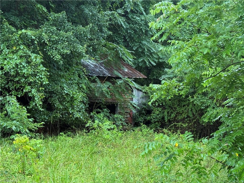 0 Hope Beasley Road Sandy Ridge, NC 27046 - Photo 7 of 9