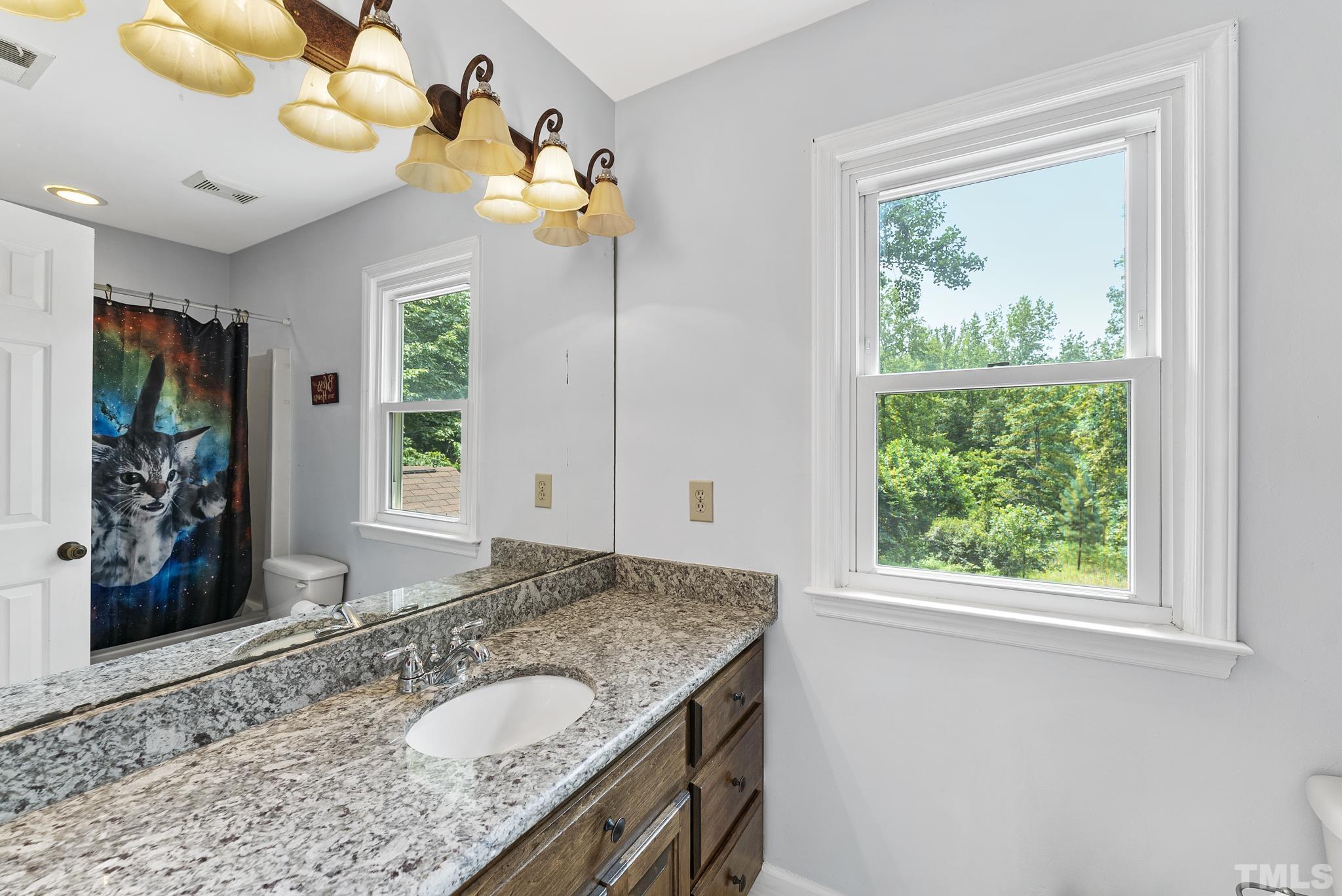 524 Jericho Road Hillsborough, NC 27278 - Photo 16 of 52 a bathroom with a granite countertop sink and a large mirror