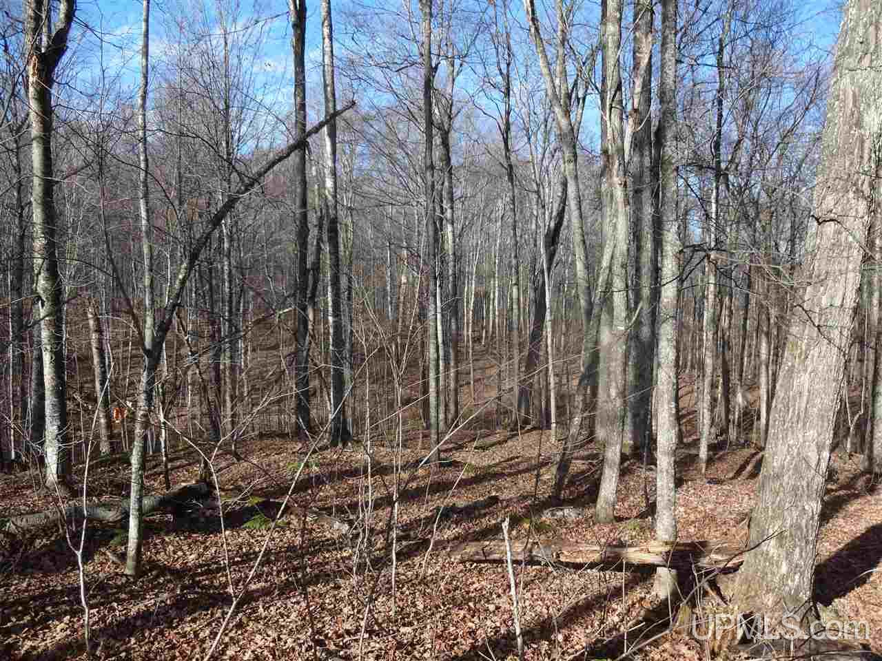 Tbd Swan Road, Unit 11 Crystal Falls, MI 49920 - Photo 1 of 3 Gallery Image 1