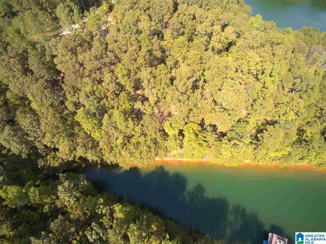 Bluegill Drive Wedowee, AL 36278 - Photo 4 of 7