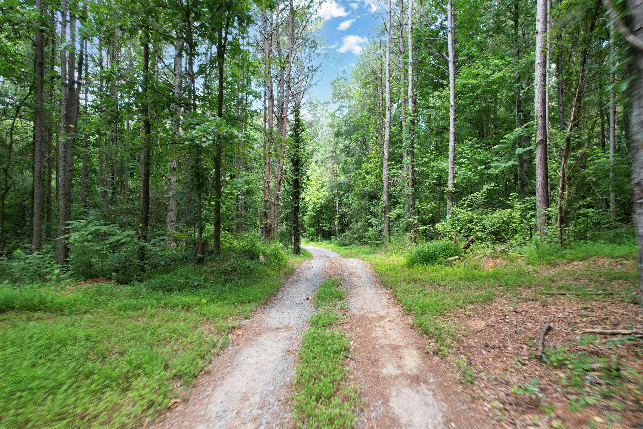 686 Welcome Valley Road Benton, TN 37307 - Photo 3 of 21 1-web-or-mls-DJI_0351