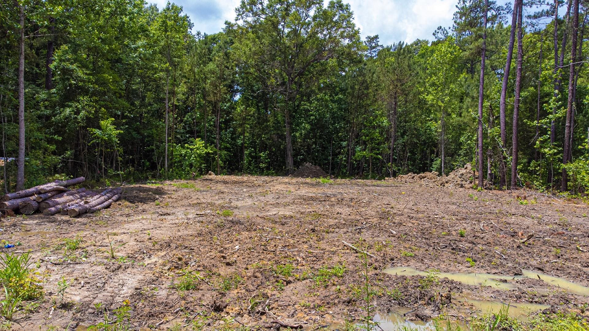 97 Hardee Street Andrews, SC 29510 - Photo 4 of 16
