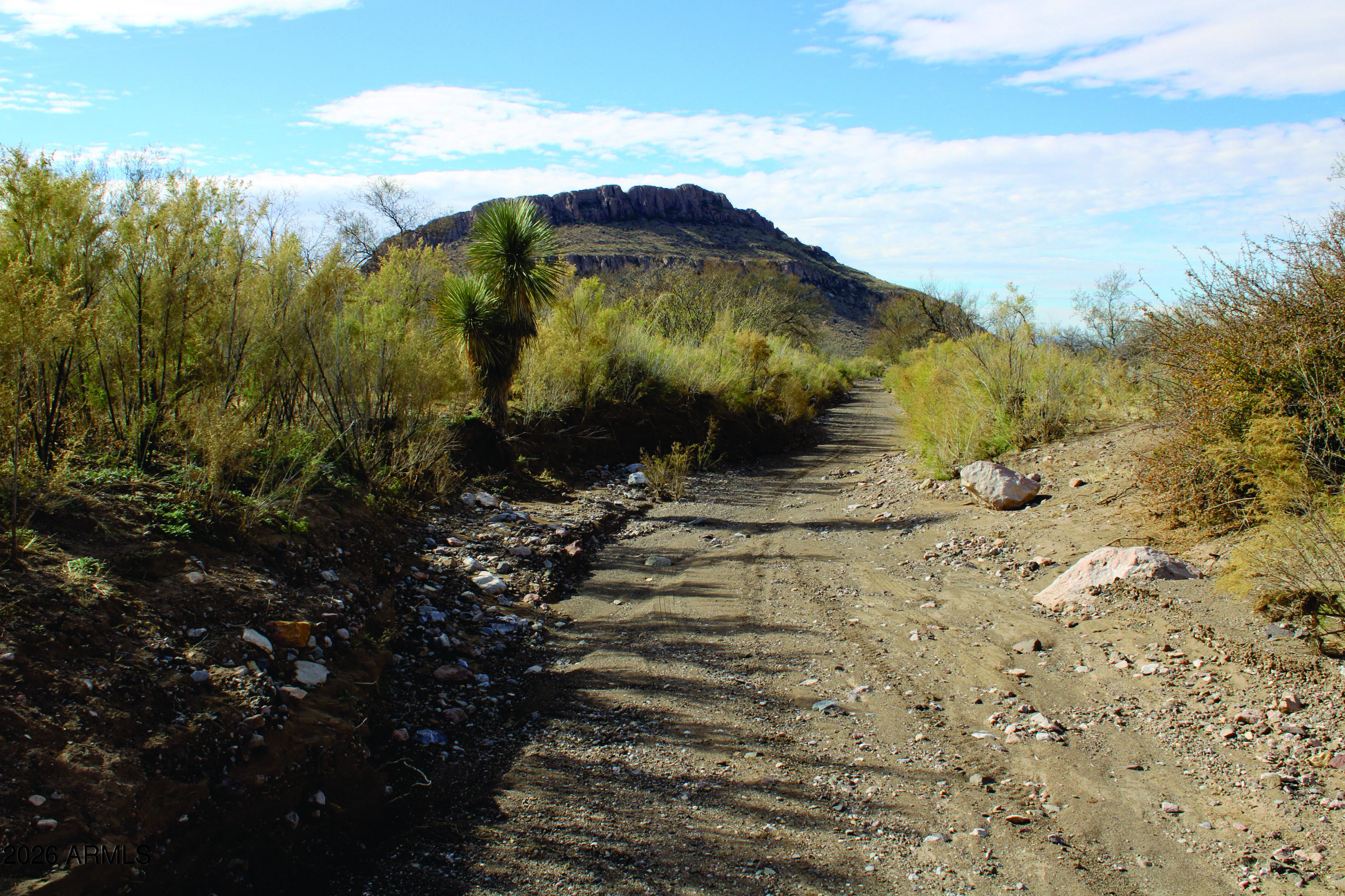 40-acres East Pebble Road, Unit 28 Douglas, AZ 85607 - Photo 13 of 15 a view of a dry yard with trees