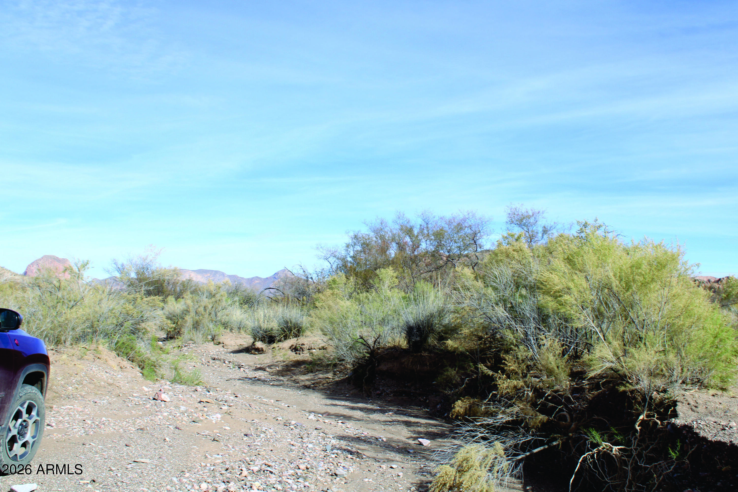 40-acres East Pebble Road, Unit 28 Douglas, AZ 85607 - Photo 15 of 15 a view of a dry yard with trees