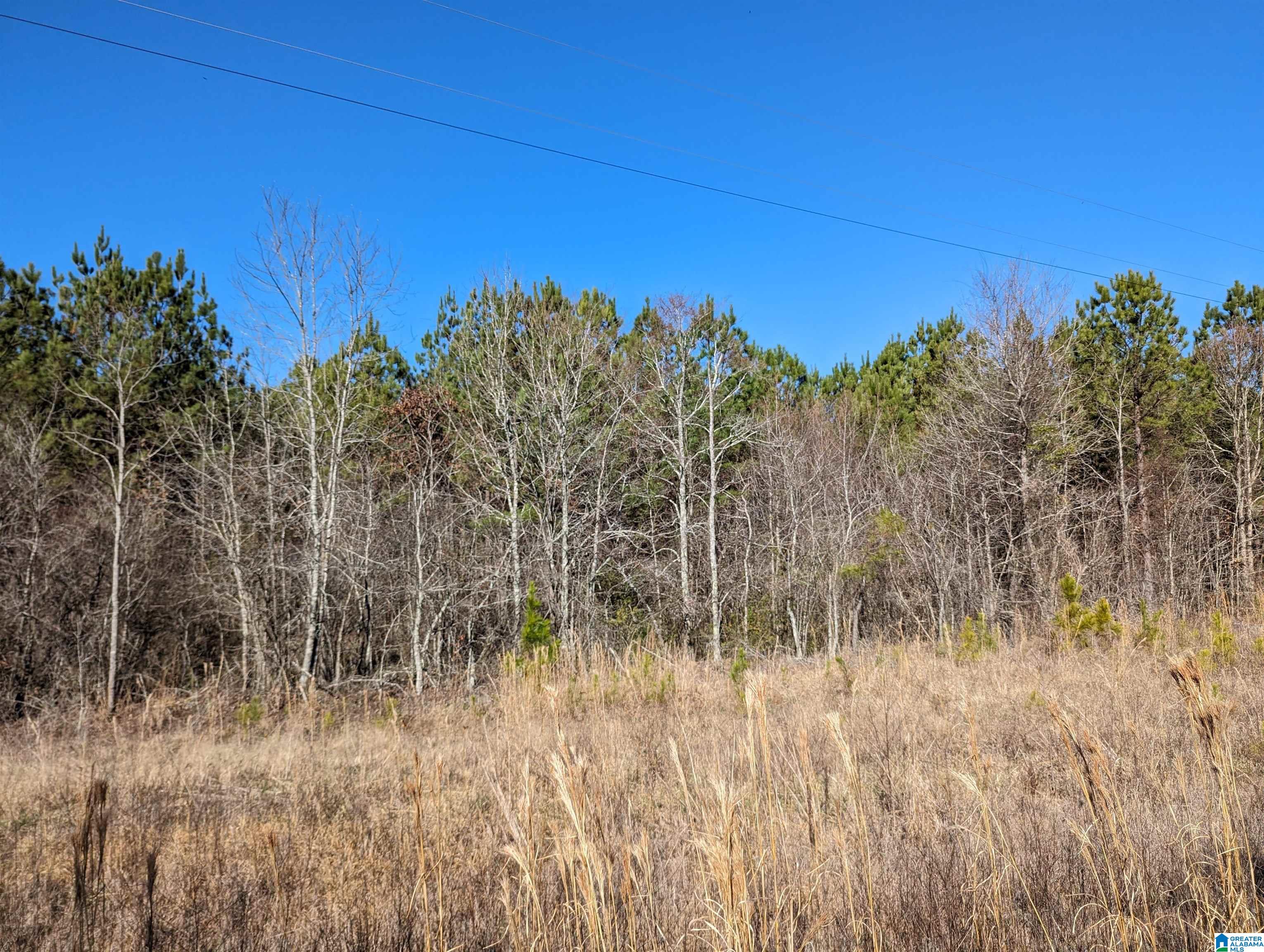 0 Chandler Springs Road Talladega, AL 35160 - Photo 19 of 35