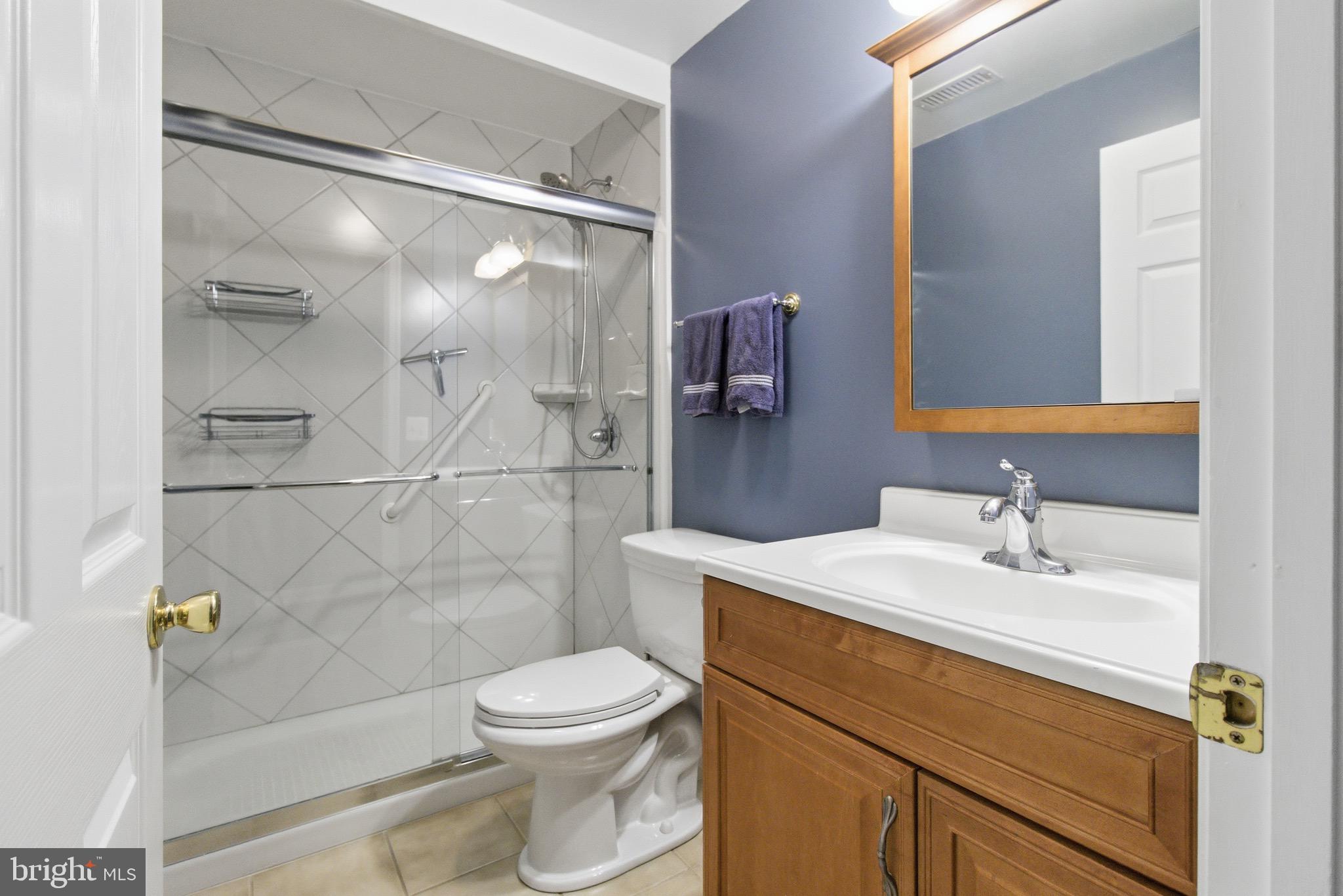 720 Vista Ridge Drive Northeast Leesburg, VA 20176 - Photo 33 of 61 Lower level FULL Bathroom 3