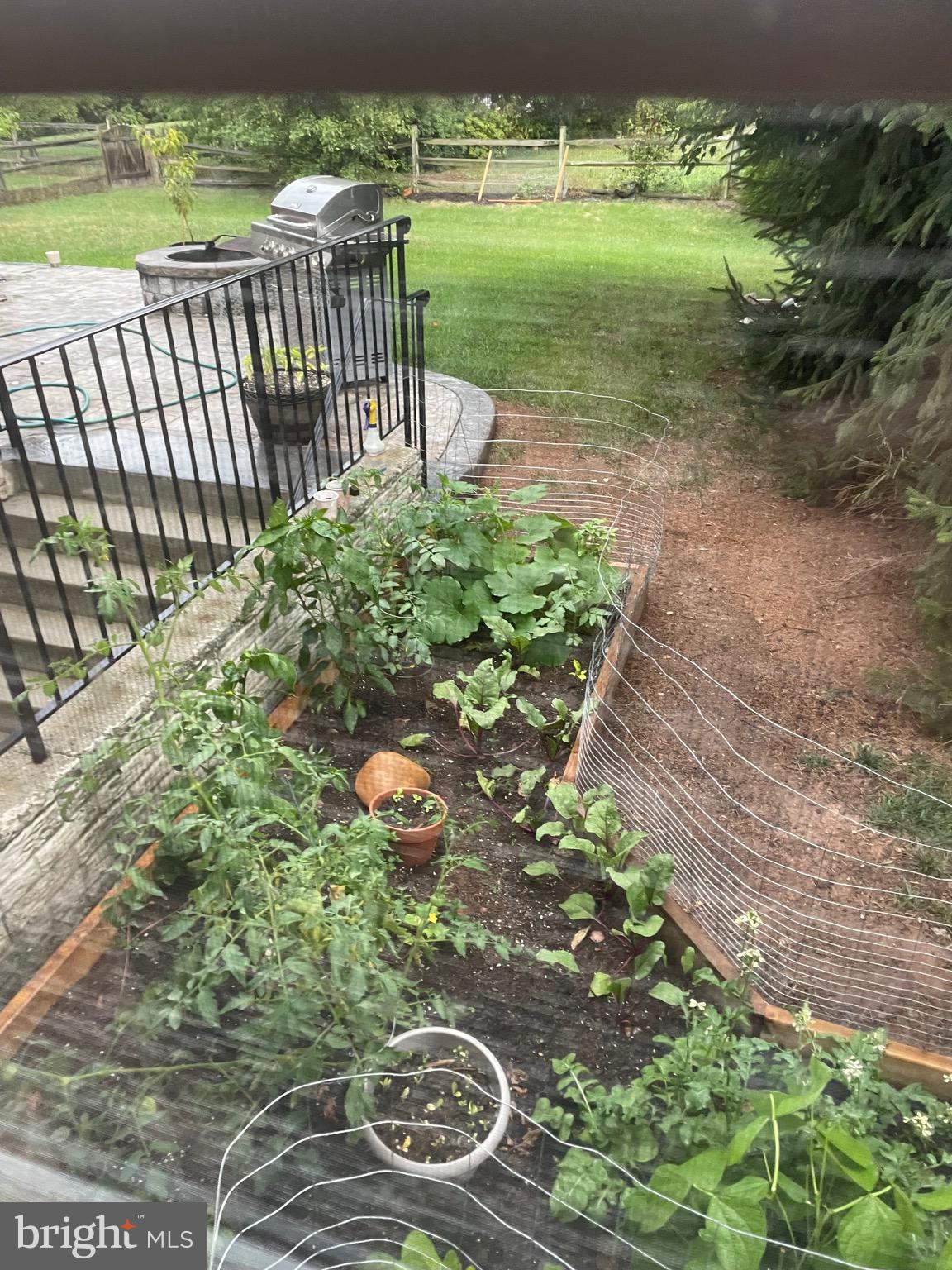 720 Vista Ridge Drive Northeast Leesburg, VA 20176 - Photo 54 of 61 Summer garden on the side of the house